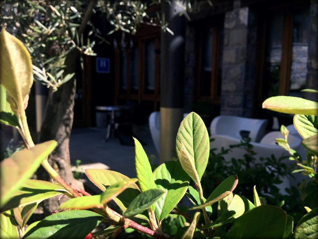 Отель Abadia Del Pirineo Трамакастилья-де-Тена Экстерьер фото